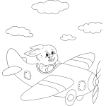Rabbit in Plane