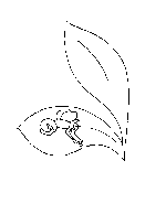Fairy Sleeping on a Leaf Coloring Page