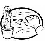 Planting Cactus