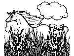 Horse in the Field Coloring Page
