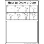 How to Draw Deer