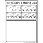 How to Draw Hermit Crab