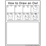 How to Draw Owl