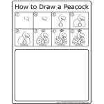 How to Draw Peacock