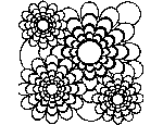 Flowers and Circles