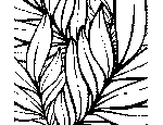 Tropical Leaves Coloring Page
