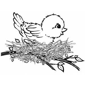 Bird In Nest coloring page