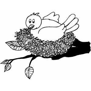 Bird In The Nest coloring page