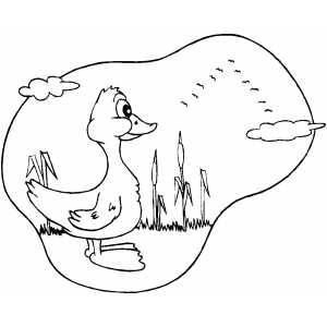 Duck Looking At Flying Birds coloring page