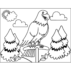 Eagle Perched coloring page