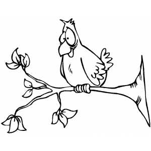Perched Bird coloring page