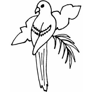 Perched Bird With Leaf coloring page