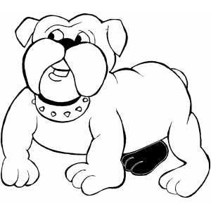 Bulldog coloring page