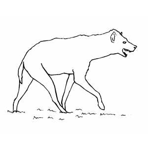 Hyena coloring page