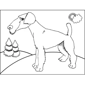 Mysterious Dog coloring page