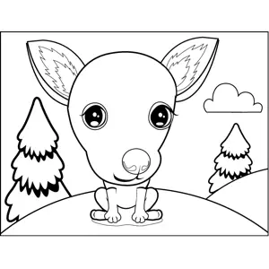 Pretty Chihuahua coloring page