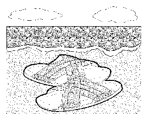 Sandals on the Beach 2 coloring page
