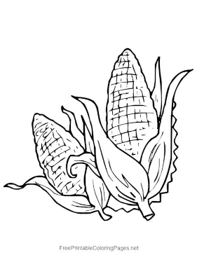 Corn And Husks coloring page