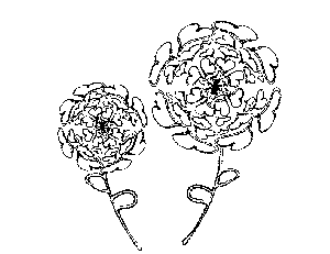 Heart Flowers Coloring Page