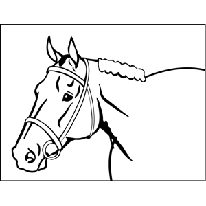 Bridled Horse coloring page