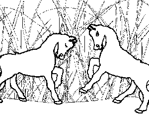 Ponies Playing Coloring Page