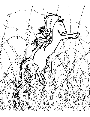 Pony in Tall Grass Coloring Page