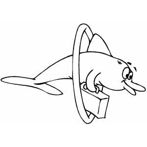 Dolphin And Hoop coloring page