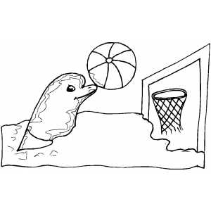 Dolphin Playing Basketball coloring page
