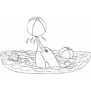 Dolphin Playing With Ball coloring page