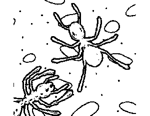 Ants Eating Crumbs Coloring Page