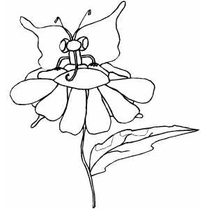 Butterfly Sitting On Flower coloring page