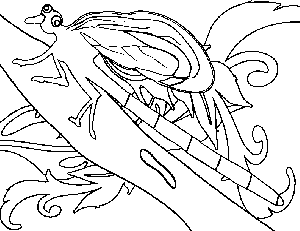 Dragon Fly on Branch coloring page