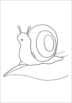 Snail On Leaf coloring page