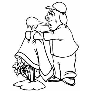 Man Covering Grapes coloring page