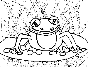 1 Tropical Frog coloring page