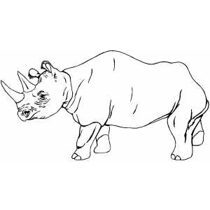 Old Rhino coloring page