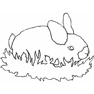 Rabbit In Grass coloring page
