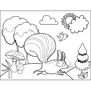 Squirrel Running coloring page