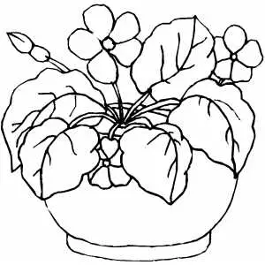 Flowers In Round Pot coloring page