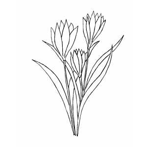 Flowers With Long Leaves coloring page