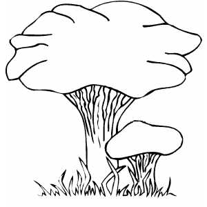 Fox Mushrooms coloring page