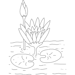 Lilypad Flowers coloring page