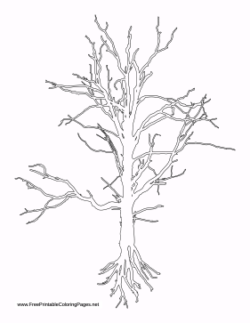 Roots coloring page