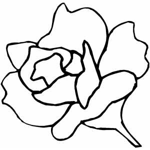 Rose Flower coloring page