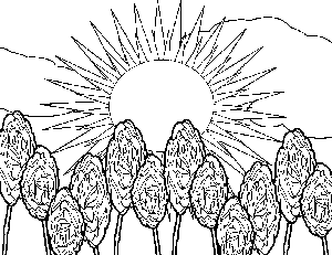 Sunny Rose Garden Coloring Page