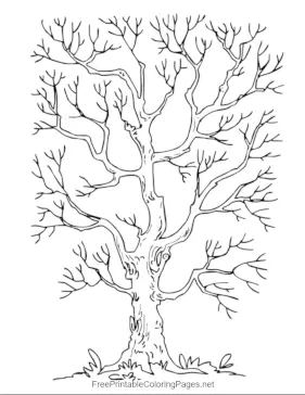 Tree_With_Bare_Branches coloring page
