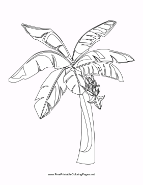 Tropical coloring page