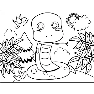 Colied Snake coloring page