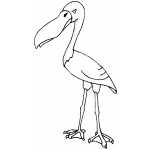 Angry Stork