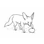 Fox Playing With Egg